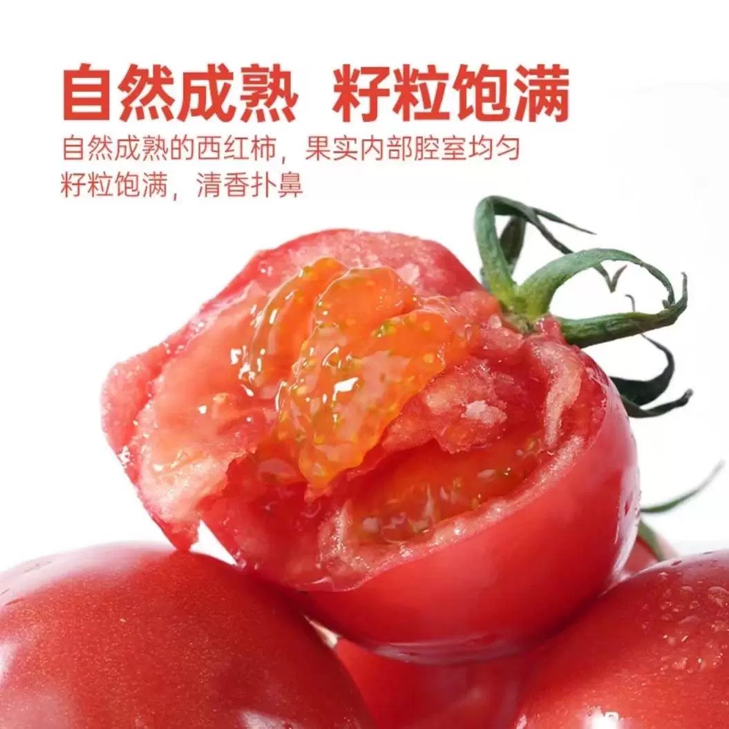【酸甜可口】有机西红柿番茄5斤