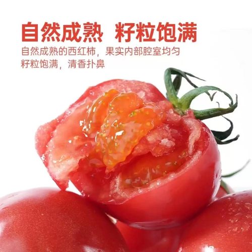【酸甜可口】有机西红柿番茄5斤