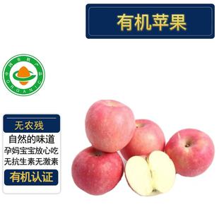 正宗烟台栖霞有机红富士苹果 脆甜爽口多汁 有机认证无农残不打蜡
