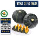 有机贝贝南瓜5斤 有机认证不打药惠和一号香甜软糯宝宝辅食代餐