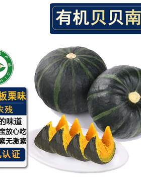 有机不打药贝贝南瓜宝宝辅食代餐