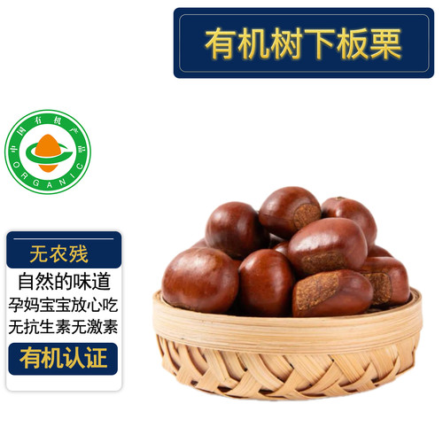 有机鲜板栗 栗子5斤装 树下现捡先发 有机认证无农残 生板栗香甜