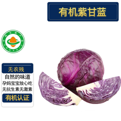 有机紫甘蓝5斤有机认证无农残