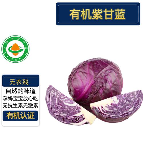 有机紫甘蓝5斤有机认证无农残