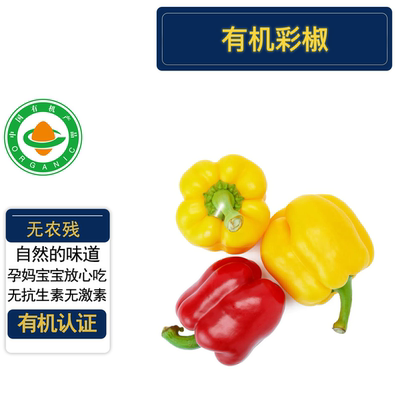 有机彩椒甜椒3斤有机认证不打药