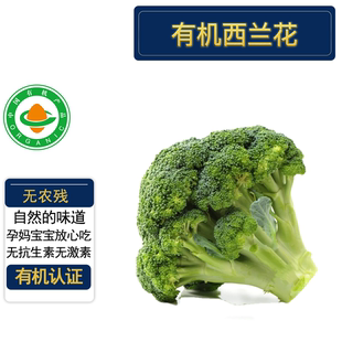 有机西兰花3斤 有机认证无农残 现摘现发美味沙拉辅食低卡 顺丰