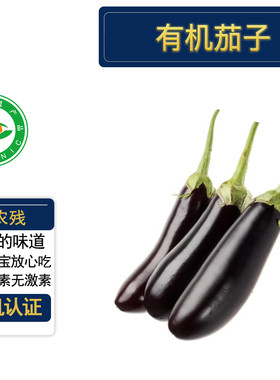 有机茄子5斤有机认证无农残