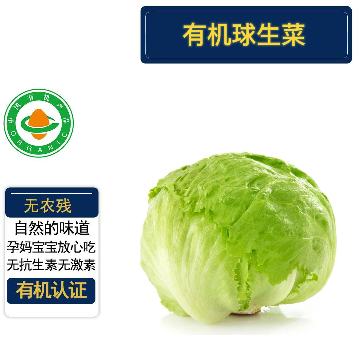 有机球生菜3斤有机认证无农残