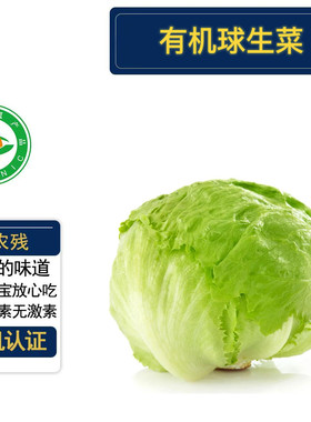 有机球生菜3斤有机认证无农残
