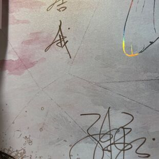 签名捡漏某某放学等我二哈惊封吞海亲签欲言难止特签抱枕