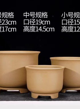 多肉花盆、现代紫砂点彩花盆、四季君子兰花盆丶仙人球盆景盆清仓