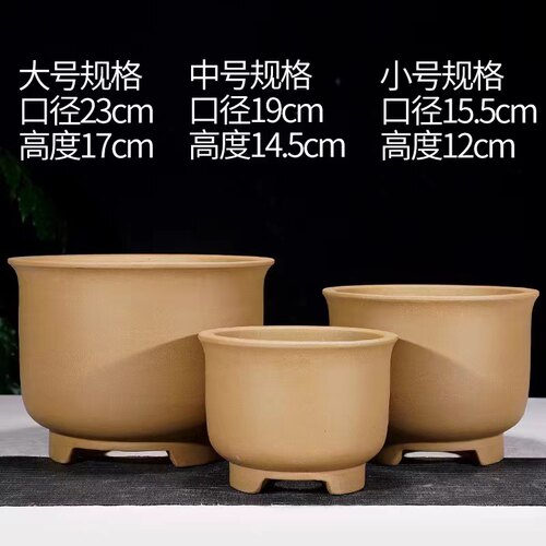 多肉花盆、现代紫砂点彩花盆、四季君子兰花盆丶仙人球盆景盆清仓
