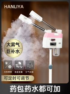 泰东冷热喷雾机热喷仪美容院专用家用补水打开毛孔冷热双喷蒸脸器