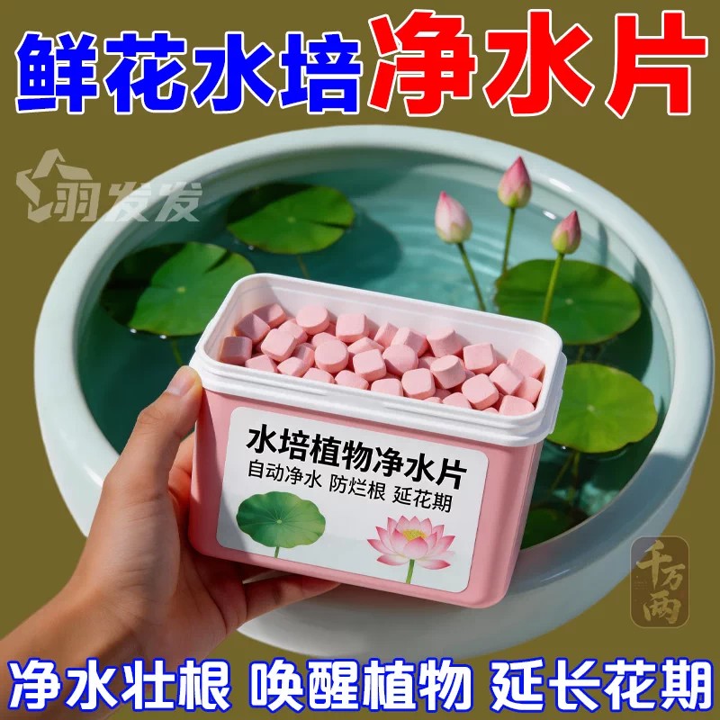 水培植物净水片除臭杀菌消毒鲜花花卉保鲜剂碗莲除藻专用净化水质