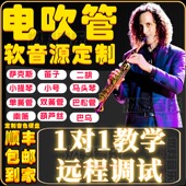 电吹管软音源雅佳罗兰AE01AE05AE20AE30通用萨克斯笛子小提琴音色