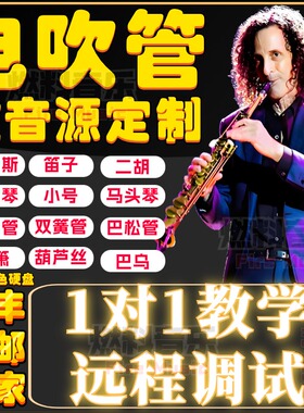 电吹管软音源雅佳罗兰AE01AE05AE20AE30通用萨克斯笛子小提琴音色