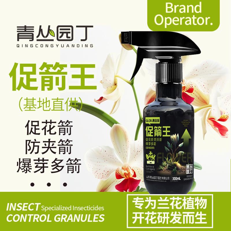 青丛园丁促箭王基地兰花开花专用蝴蝶兰促花箭防夹箭爆芽多箭