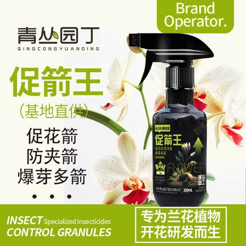 促花箭促箭王青丛园丁兰花专用