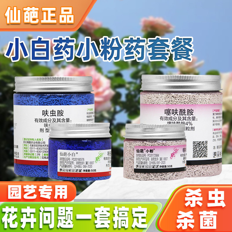 仙葩小白药小粉药多肉月季杀虫黑腐烟煤病蚧壳虫蚜虫小黑飞呋虫胺
