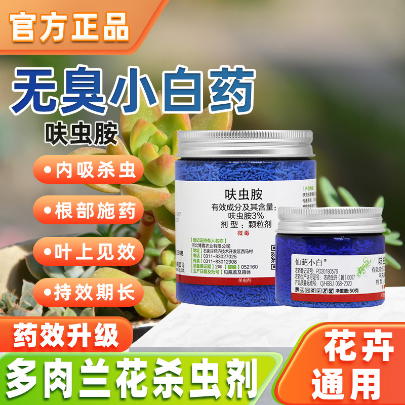 仙葩小白药小粉药多肉黑腐烟煤病蚧壳月季蚜虫小黑飞呋虫胺杀虫剂