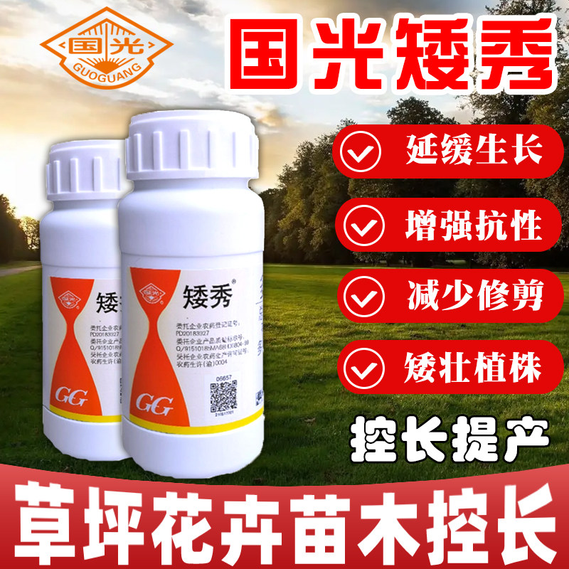 国光矮秀多唑甲哌鎓植物矮化剂抑制顶部生长减少修剪调节绿篱控旺