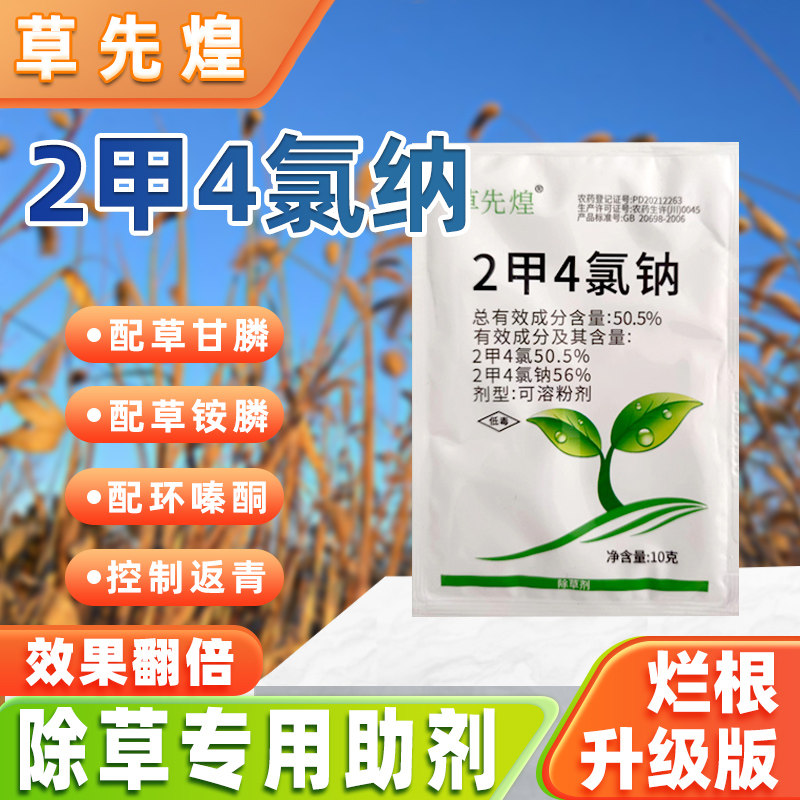 节节草除草剂木贼笔管筒草克星烂根药二甲四氯钠专用灭杀除草药剂