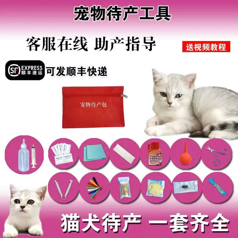 宠物猫狗用产前怀孕工具包吸羊水剪刀接生猫咪产房生产套装待产包