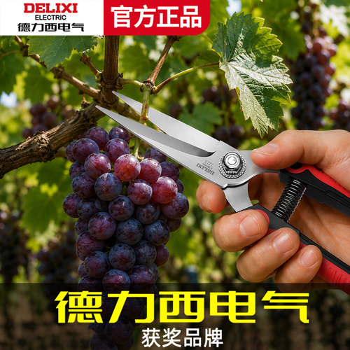 德力西电气园艺剪刀修枝剪