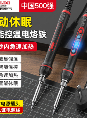 德力西电气维修专用电烙铁家用小型焊锡枪新型大功率电焊笔洛铁
