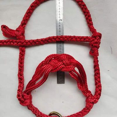 牵马笼头防磨马具马术龙套牵引马调教马龙头套手工编织拴牛马装备