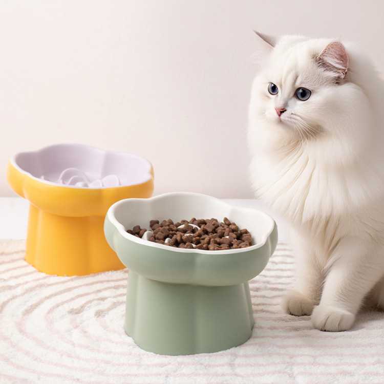 流浪猫喂食碗食屋防雨户外室外