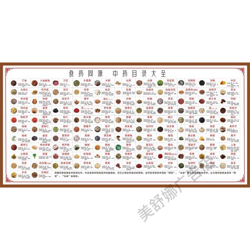 中医馆药食同源中药目录大全宣传海报性味功效贴画养生馆壁画
