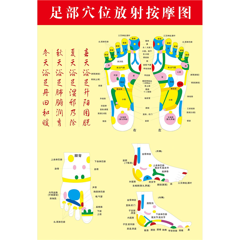 足部经络图脚底穴位图海报贴纸中医养生理疗海报墙贴纸kt板