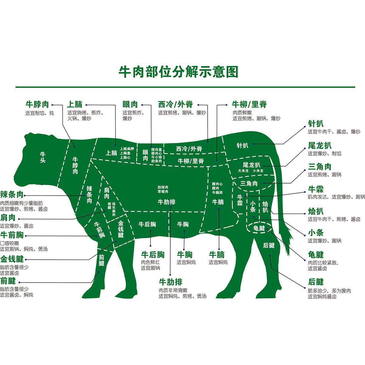 牛肉分割分解部位图牛排装饰壁画牛杂汤粉面馆火锅店自粘墙贴壁纸