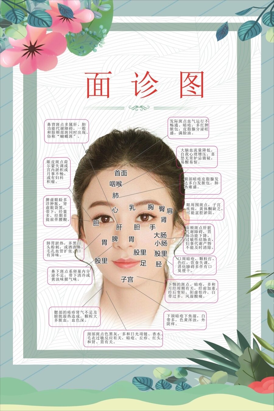 面诊图海报展板欧美雅洁面部诊断图墙贴墙纸装饰画kt板面诊图