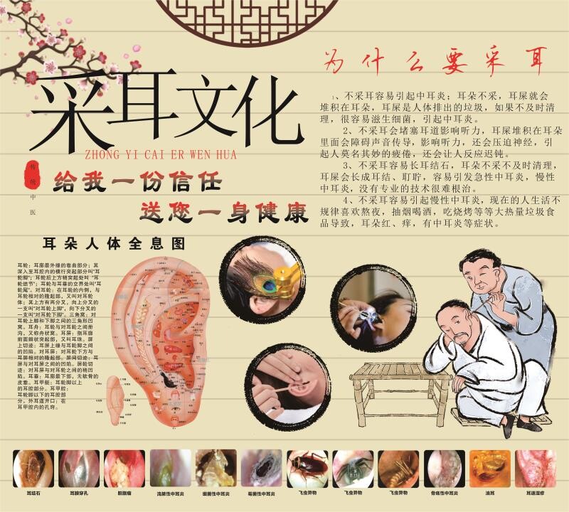 采耳养生背景挂图海报洗眼挂图采耳耳朵常见病症图耳朵人体全息图