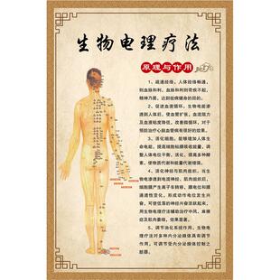 生物电理疗广告图中医养生馆挂画经络养生墙贴生物电禁忌适应症图