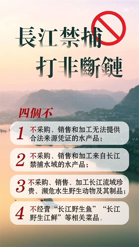长冮禁捕打非断链海报展板长江禁止捕鱼重拳岀击严管重罚墙贴墙纸