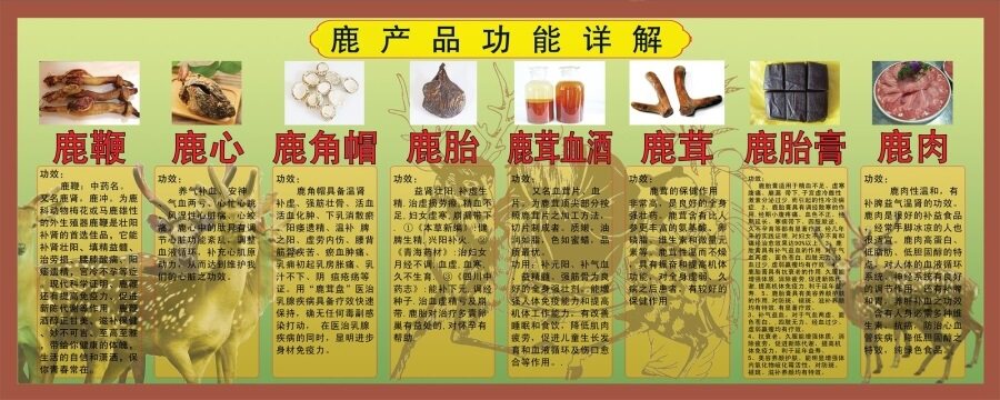 鹿产品功能详解海报冬季进补梅花鹿恒晖同创梅花鹿养殖合作基地