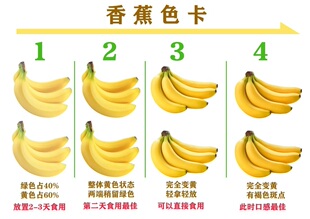 香蕉色卡海报展板广东本地群蕉荟萃有机大香蕉天然香蕉墙贴墙纸