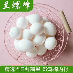 兰蝶峰鲜鸡蛋黄心鸡蛋新鲜鸡蛋五谷柴鸡蛋白壳鸡蛋无腥味非散养