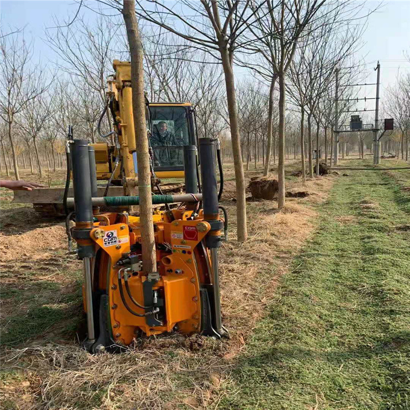 常青60公分带土球移树机 山东园林苗木移栽机 香樟树国槐挖树机