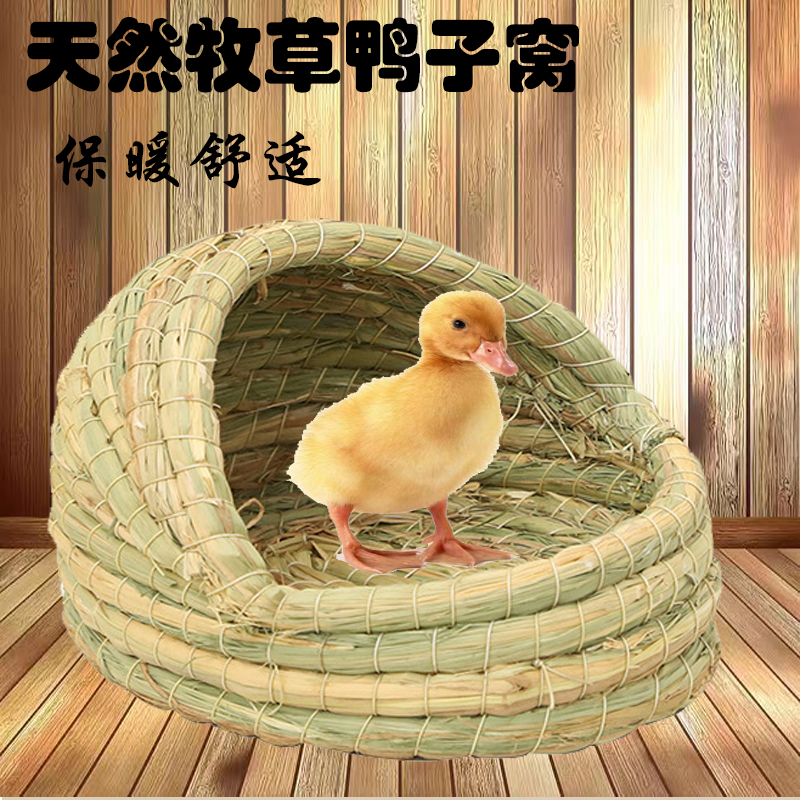 小鸭子窝柯尔鸭小鸡睡觉房子屋