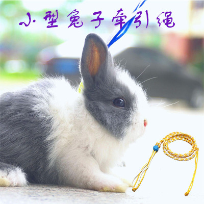 侏儒兔牵引绳仓鼠外出用品可调节