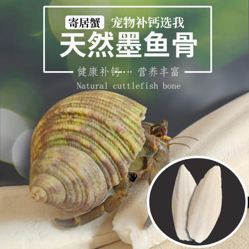 墨鱼骨寄居蟹食物补钙防软壳零食乌龟鸟类天然用品玩具乌贼骨磨牙