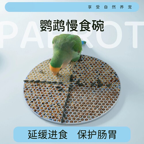 鹦鹉慢食碗觅食垫硅胶盘小鸟玩具解闷自嗨玄凤牡丹虎皮啃咬用品