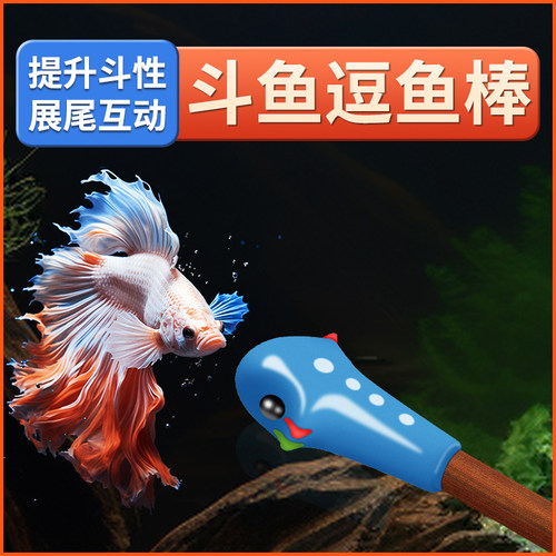 泰国斗鱼棒逗鱼棒纯手工制作斗鱼玩具展尾互动小工具半月狮王马尾