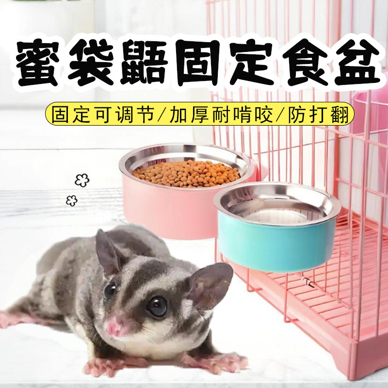 蜜袋鼯松鼠食盆吃饭喝水壁挂粮食专用饭碗不漏水立式分离一体式