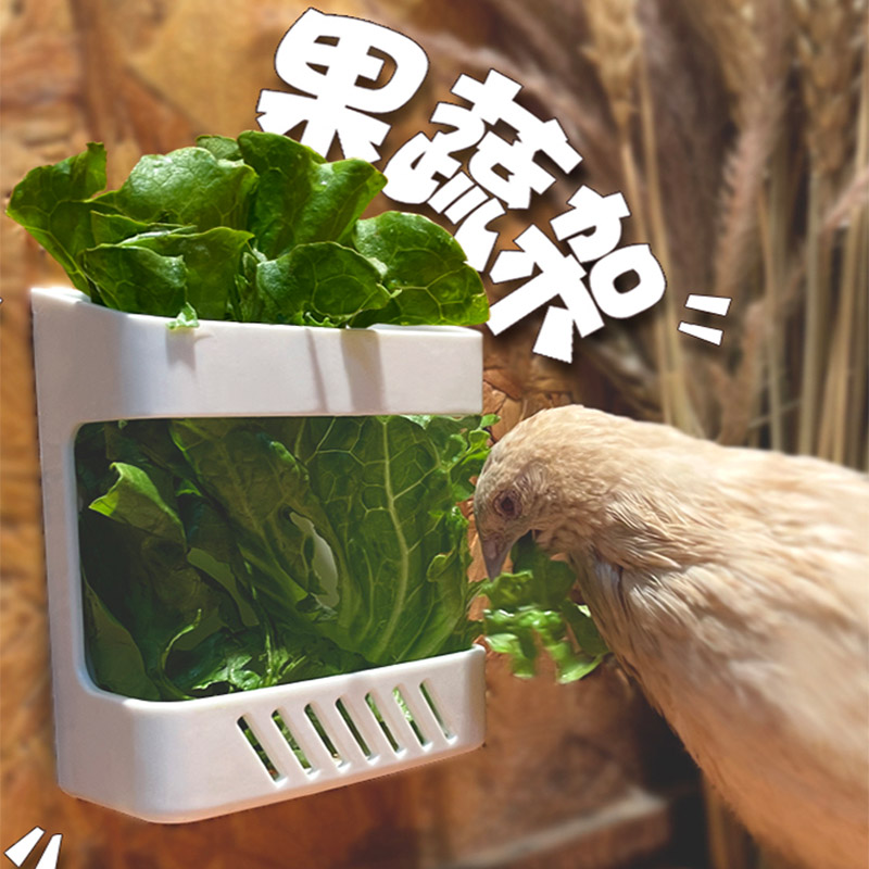 芦丁鸡喂食器蔬菜架造景用品食台
