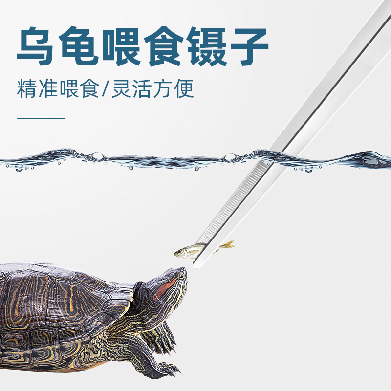 喂食镊子乌龟宠物不锈钢